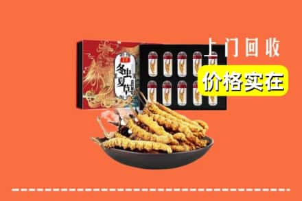 南平松溪县回收冬虫夏草